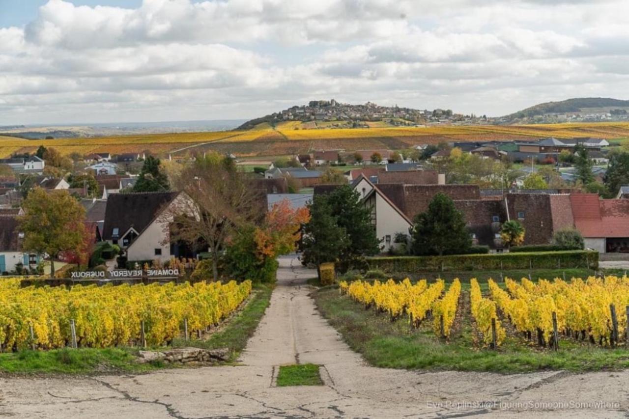 "La Veranda" Gite Verdigny Kültér fotó